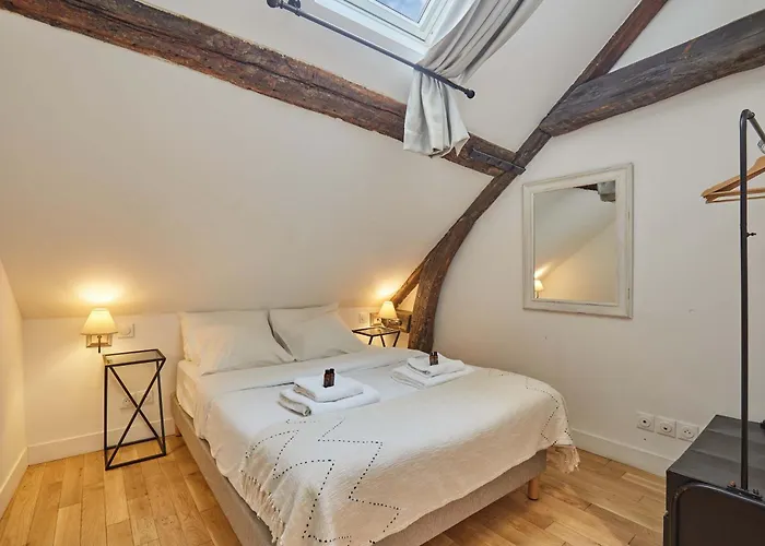 Charming Center Of With Terrace Apartment Paris