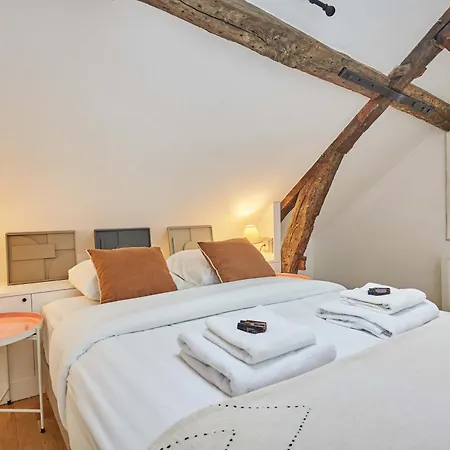 Charming Center Of With Terrace Daire